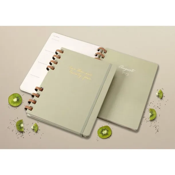  MOLESKINE Solar spiral planner light green