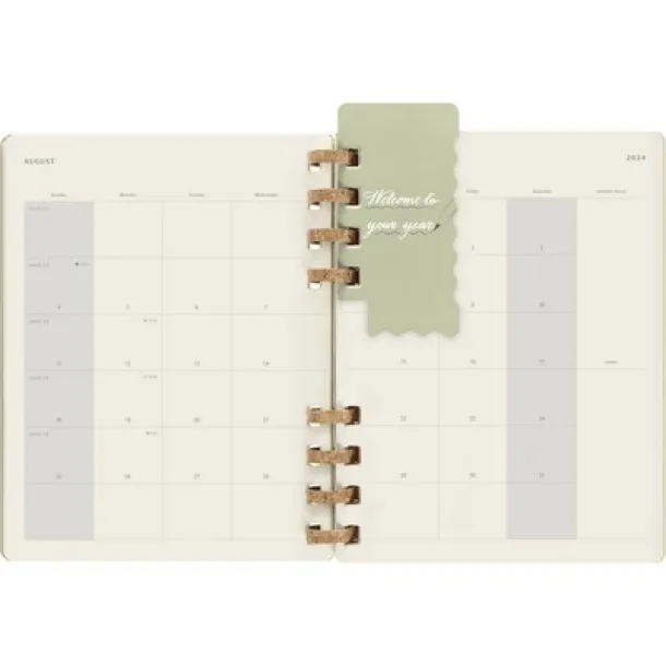  MOLESKINE Solar spiral planner light green