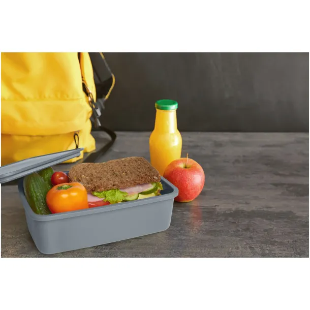 Dovi recycled plastic lunch box - Seasons Grey