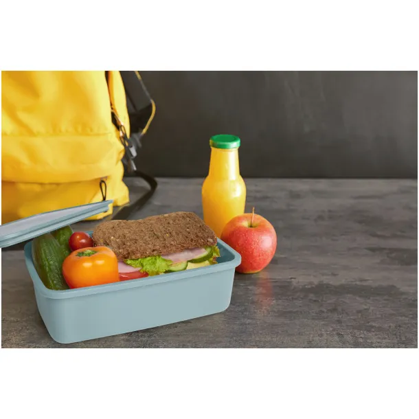 Dovi recycled plastic lunch box - Seasons Mint green