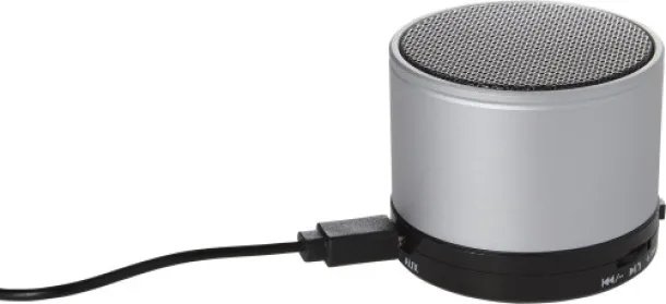 Morgan Metal speaker