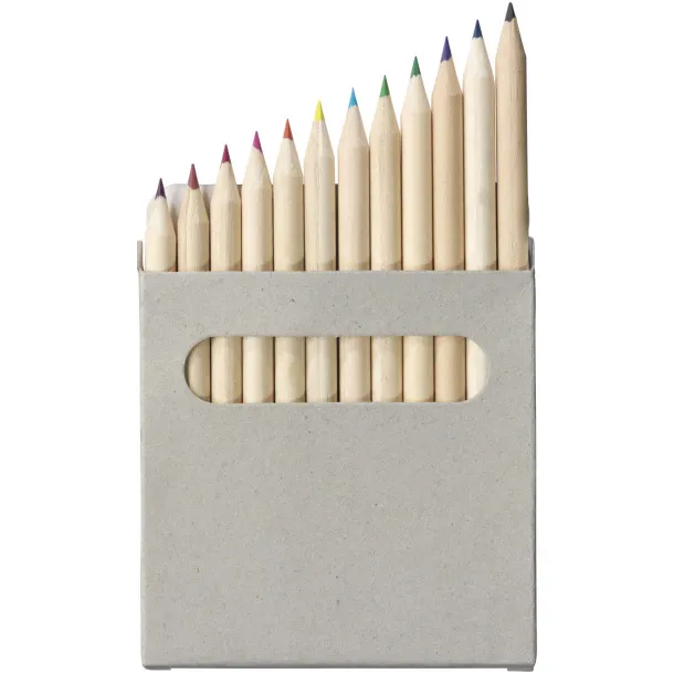 Tallin 12-piece coloured pencil set - Bullet Light grey