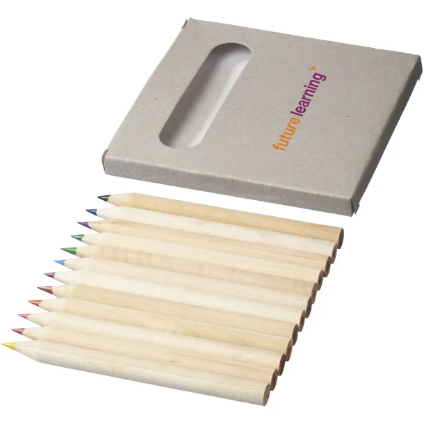 Tallin 12-piece coloured pencil set - Bullet Light grey