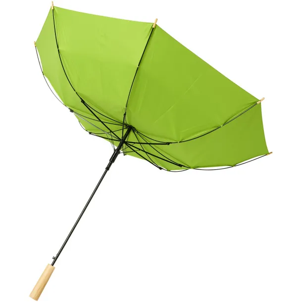 Alina 23" auto open recycled PET umbrella Lime