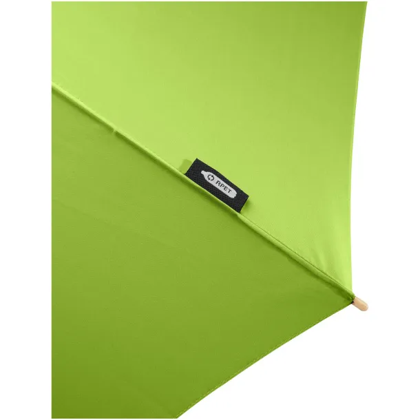 Alina 23" auto open recycled PET umbrella Lime