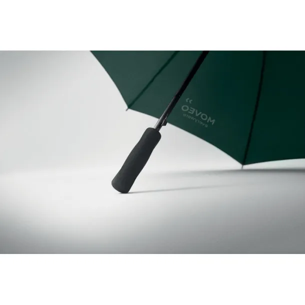 SWANSEA 27 inch umbrella Green