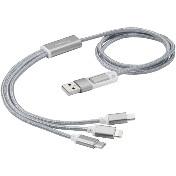 Versatile 3-in-1 charging cable with dual input - Unbranded Silver