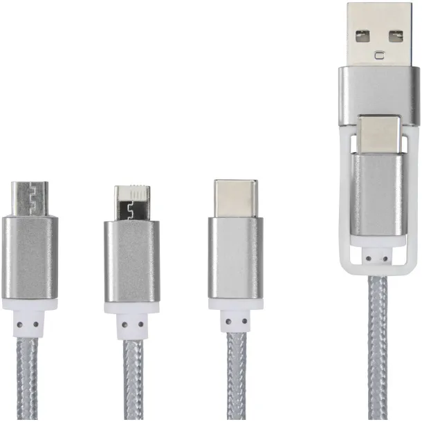 Versatile 3-in-1 charging cable with dual input Silver