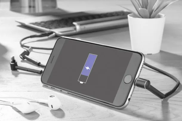 RICO 6 in 1 USB cable Crna