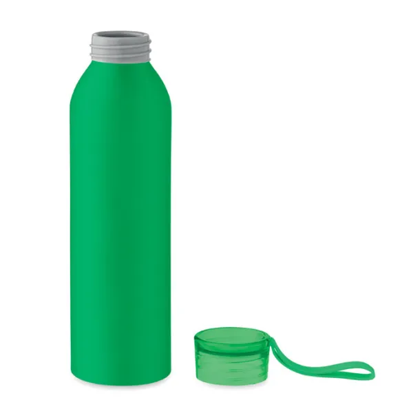 NAPIER Aluminium bottle 600ml Green