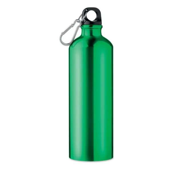 BIG MOSS Aluminium bottle 750 ml Green