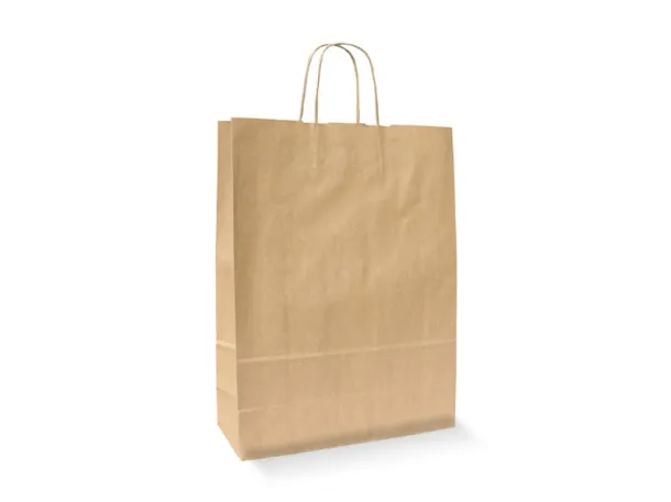 NATURE Paper bag with twisted paper handles