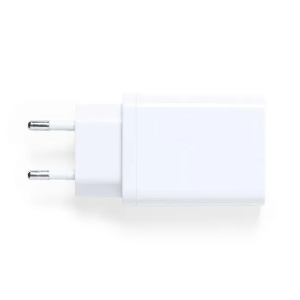  USB wall charger white