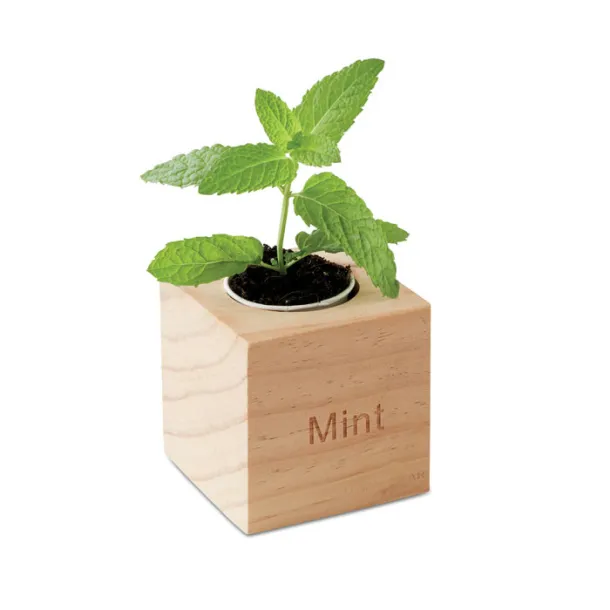 MENTA Herb pot wood "MINT" Wood