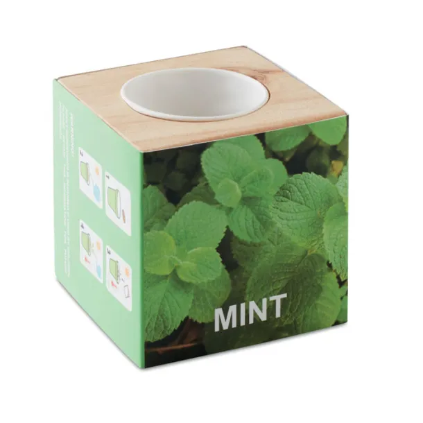 MENTA Herb pot wood "MINT" Wood