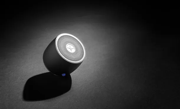  Swiss Peak bass speaker - Swiss Peak Grey Grey
