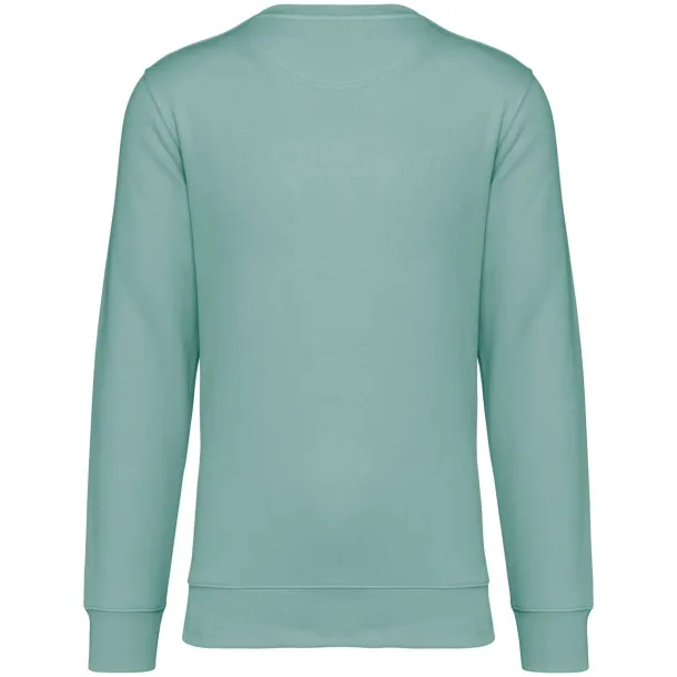 DRIFTER unisex pullover - Native Spirit Jade Green