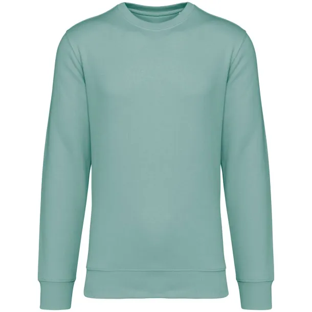 DRIFTER unisex pullover - Native Spirit Jade Green