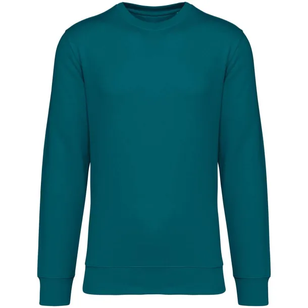 DRIFTER unisex pullover - Native Spirit Peacock Green