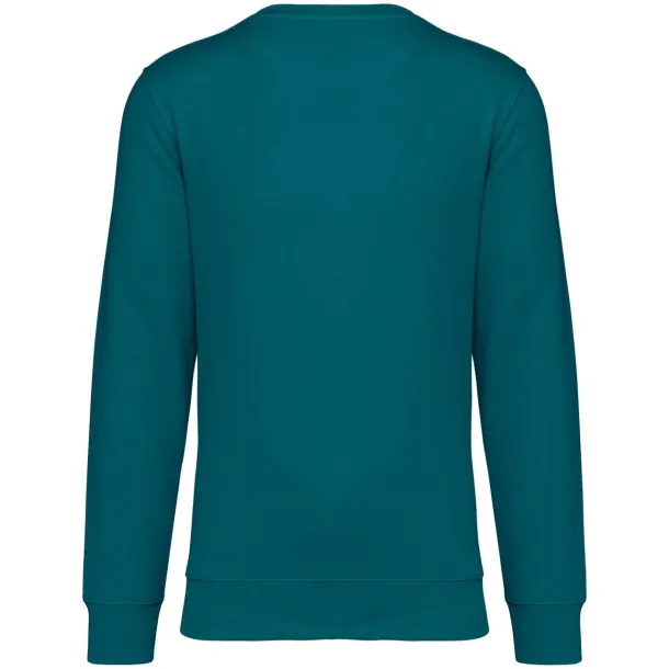 DRIFTER unisex pullover - Native Spirit Peacock Green