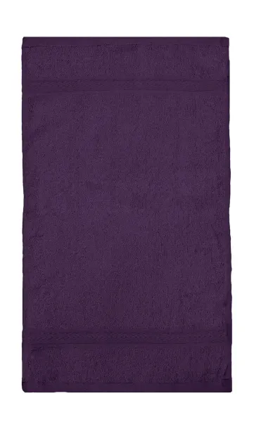  Rhine Guest Towel 30x50 cm - SG Accessories - TOWELS (Ex JASSZ Towels) Aubergine