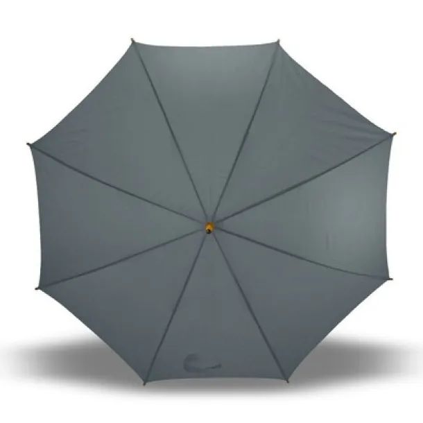  Automatic umbrella A69F99