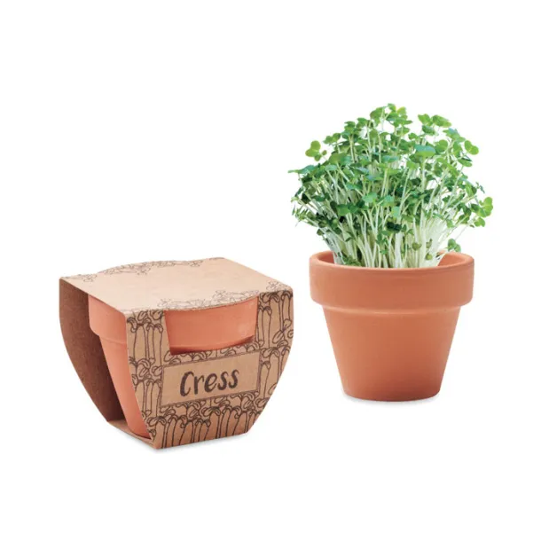 CRESS POT Terracotta pot cress seeds Wood