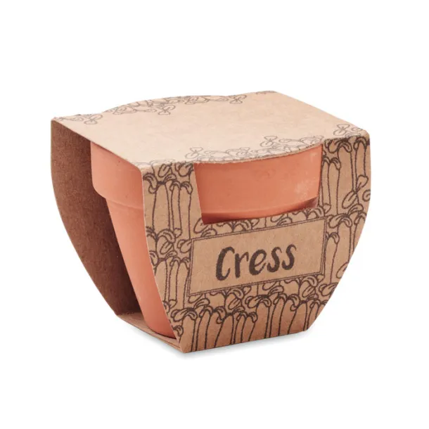 CRESS POT Terracotta pot cress seeds Wood