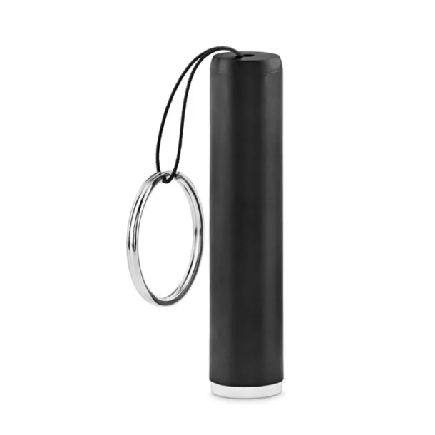 SANLIGHT Plastic light up logo torch Black