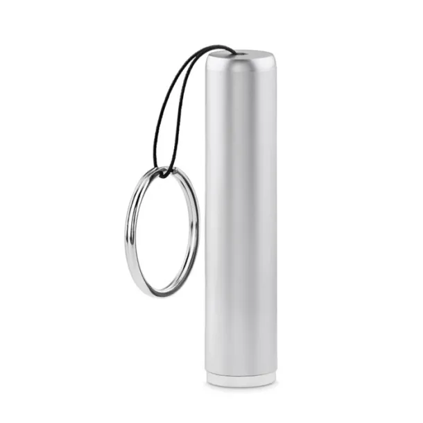 SANLIGHT Plastic light up logo torch Silver