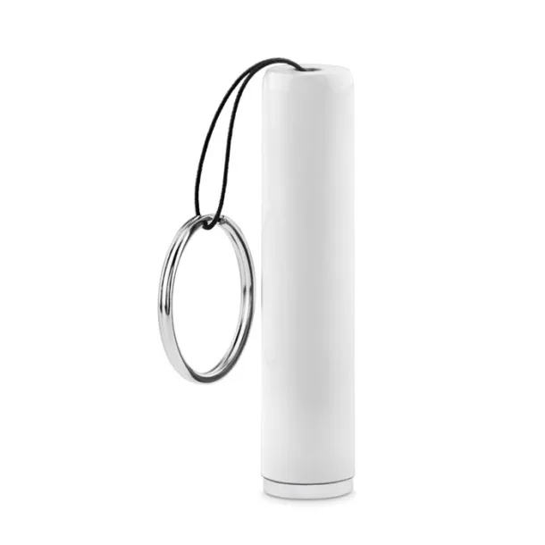 SANLIGHT Plastic light up logo torch White