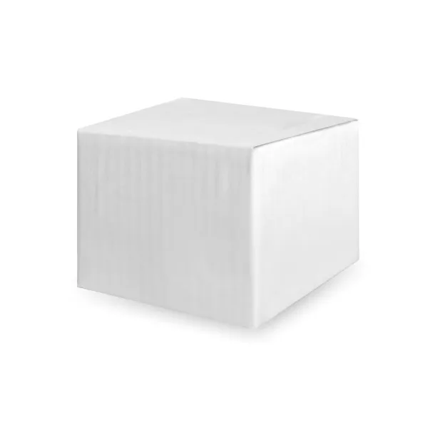 BOCUSE 680 ml hermetic box