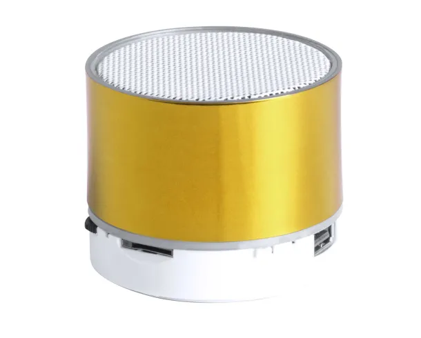 Viancos bluetooth speaker Gold