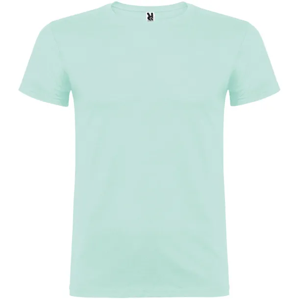 Beagle short sleeve men's t-shirt - Roly Mint green