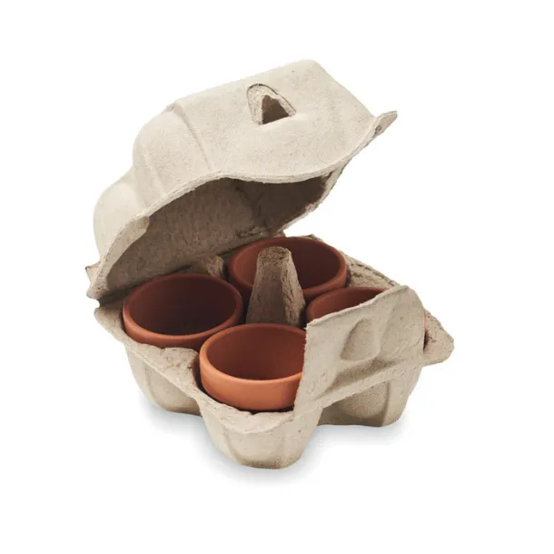 CRESS Egg carton growing kit Beige