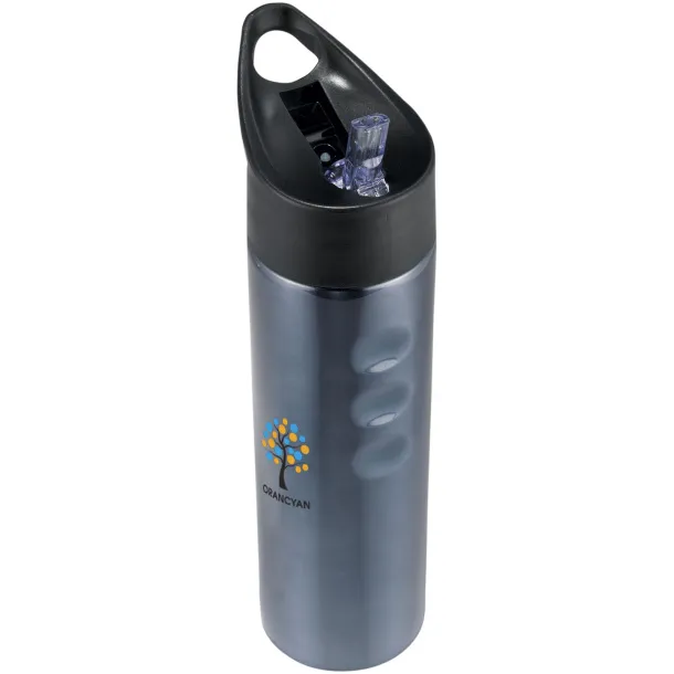 Trixie 750 ml stainless steel sport bottle Titanium