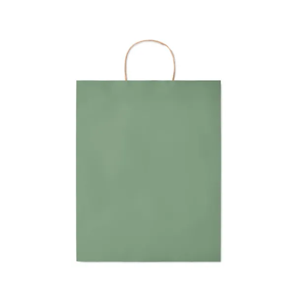 PAPER TONE L Large Gift paper bag 90 gr/m² Green