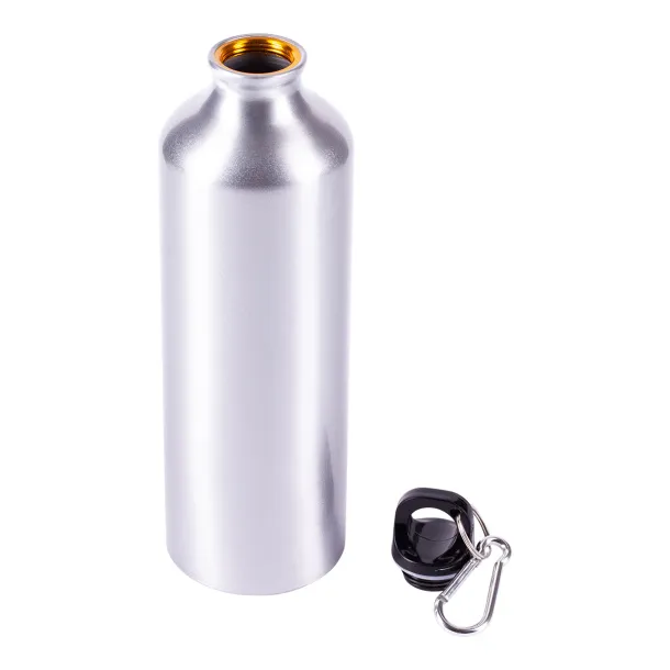 EASY TRIPPER water bottle 800 ml Silver