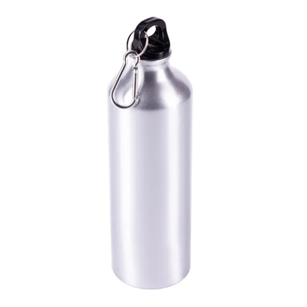 EASY TRIPPER water bottle 800 ml Silver