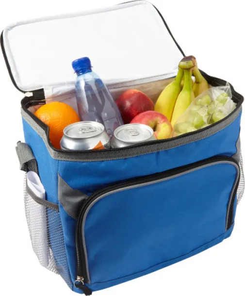  Polyester (600D) cooler bag Lance