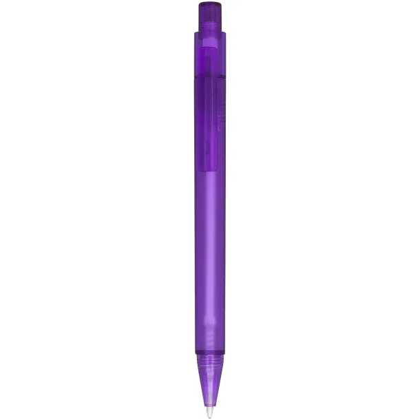 Calypso frosted ballpoint pen - Unbranded Frosted purple