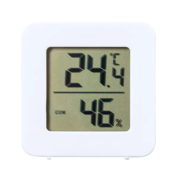 Tynna weather station White