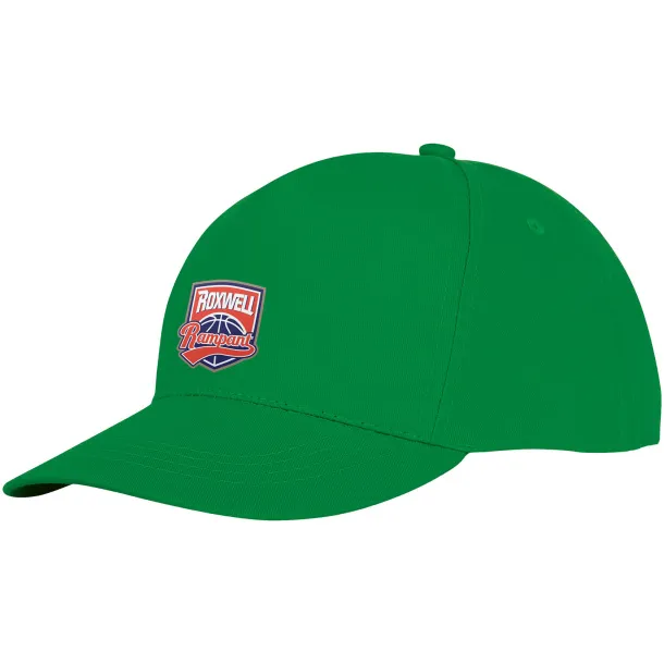 Hades 5 panel cap - Elevate Essentials Fern green