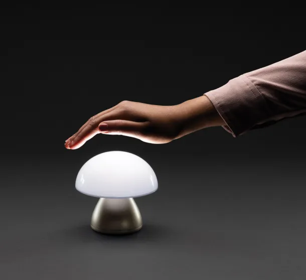  Luming RCS recycled plastic USB re-chargeable table lamp - XD Collection bronze