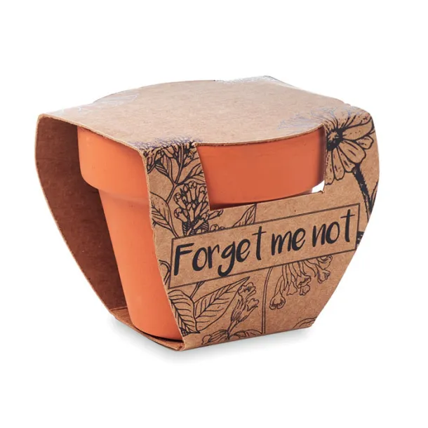 FORGET ME NOT Forget meNot in terracotta pot Wood