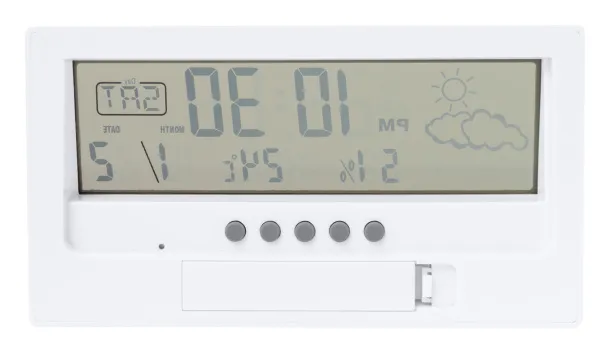 Roamer weather station Natural