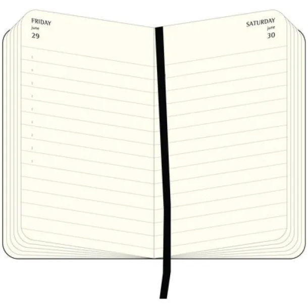  MOLESKINE diary A6 Crna