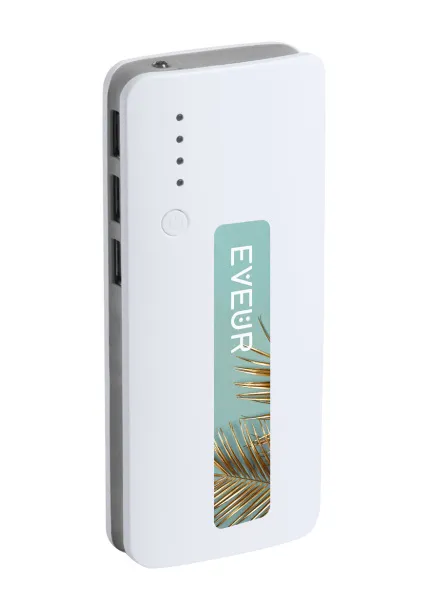 Tenak USB prijenosna baterija, 10 000 mAh ash grey Bijela