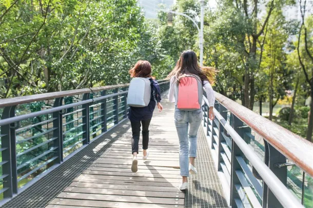  Bobby compact ruksak sa zaštitom protiv krađe Zelena