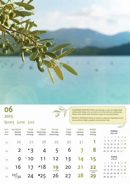  "MASLINE" color calendar Color